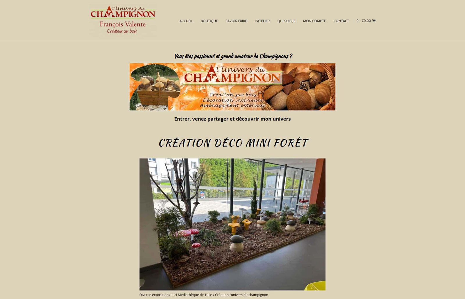 Portfolio L&rsquo;univers du Champignon