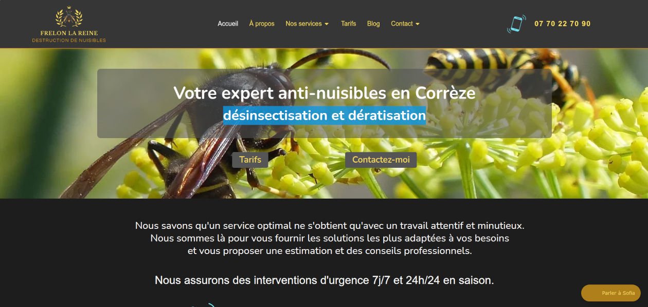Portfolio Frelon la reine